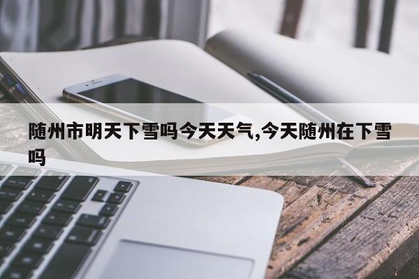 随州市明天下雪吗今天天气,今天随州在下雪吗 第1张