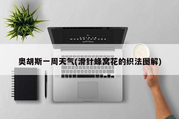 奥胡斯一周天气(滑针蜂窝花的织法图解)