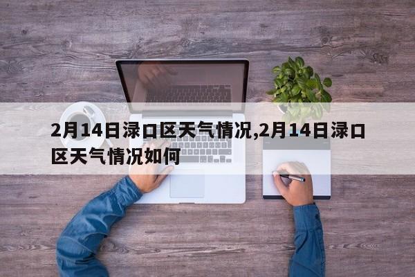 2月14日渌口区天气情况,2月14日渌口区天气情况如何