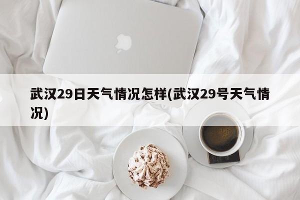 武汉29日天气情况怎样(武汉29号天气情况)